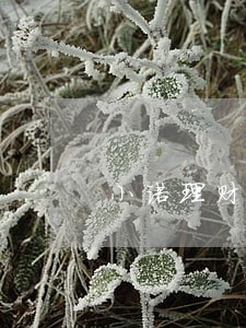 小诺理财借款逾期了怎么办 小诺理财借款逾期了怎么办