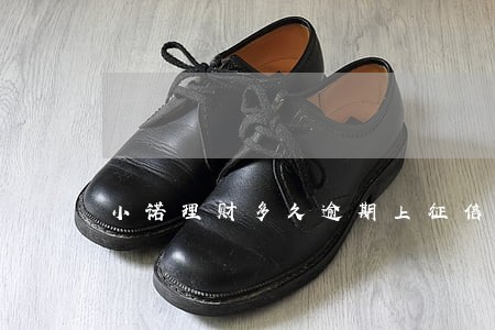 小诺理财多久逾期上征信 小诺理财多久逾期上征信