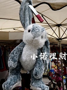 小诺理财逾期两天 小诺理财逾期两天