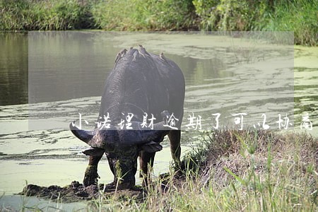 小诺理财逾期了可以协商减免吗