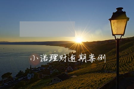 小诺理财逾期案例 小诺理财逾期案例