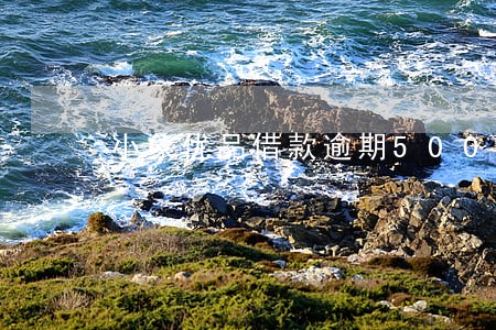 小象优品借款逾期500多天了