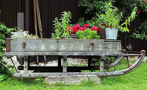 小象优品只还本金可信吗 小象优品只还本金可信吗