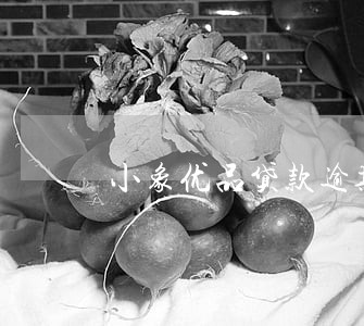小象优品贷款逾期费太高 小象优品贷款逾期费太高