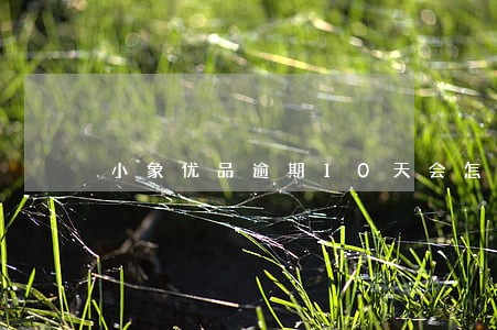 小象优品逾期10天会怎样 小象优品逾期10天会怎样