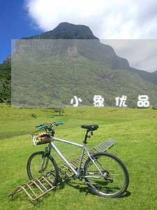 小象优品逾期2天打电话吗 小象优品逾期2天打电话吗
