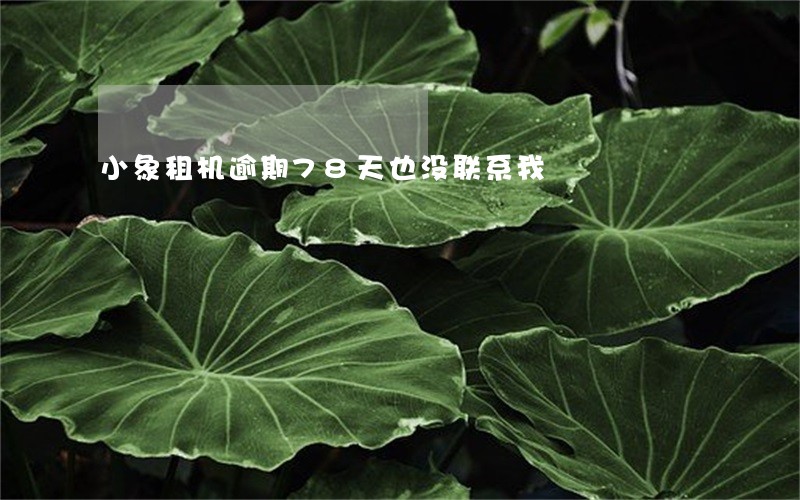 小象租机逾期78天也没联系我 小象租机逾期78天也没联系我