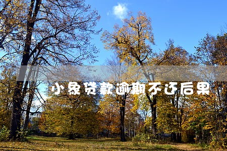 小象贷款逾期不还后果