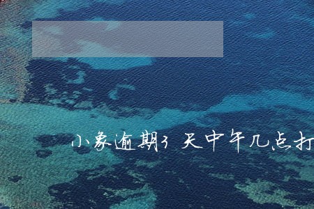 小象逾期3天中午几点打电话 小象逾期3天中午几点打电话