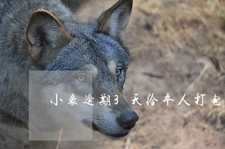 小象逾期3天给本人打电话吗 小象逾期3天给本人打电话吗