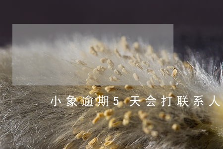 小象逾期5天会打联系人吗 小象逾期5天会打联系人吗