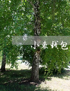 小象钱包逾期200天