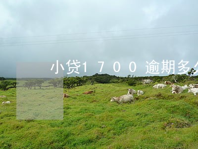 小贷1700逾期多久 小贷1700逾期多久