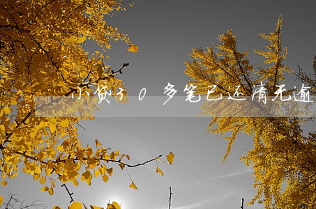 小贷30多笔已还清无逾期 小贷30多笔已还清无逾期
