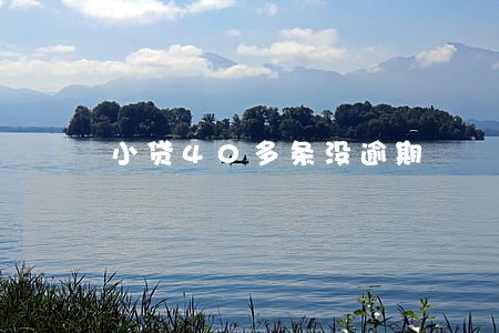 小贷40多条没逾期 小贷40多条没逾期