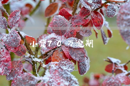小贷70万逾期