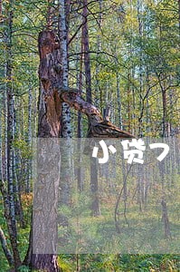 小贷7天的逾期 小贷7天的逾期