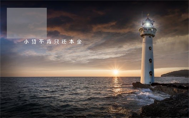小贷不肯只还本金 小贷不肯只还本金