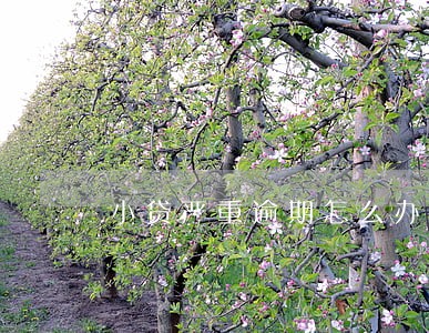 小贷严重逾期怎么办信用卡 小贷严重逾期怎么办信用卡