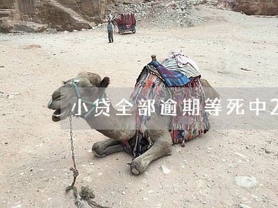 小贷全部逾期等死中2017 小贷全部逾期等死中2017