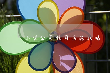 小贷公司能司法冻结吗