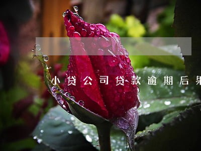 小贷公司贷款逾期后果 小贷公司贷款逾期后果