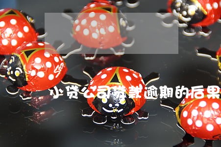 小贷公司贷款逾期的后果 小贷公司贷款逾期的后果
