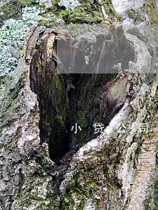 小贷公司逾期6个月会怎样 小贷公司逾期6个月会怎样