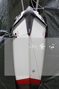 小贷公司逾期90天后会干嘛 小贷公司逾期90天后会干嘛