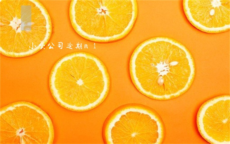 小贷公司逾期m1