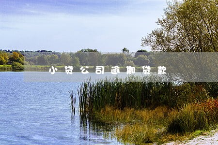 小贷公司逾期贷款 小贷公司逾期贷款