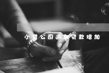 小贷公司逾期贷款增加 小贷公司逾期贷款增加
