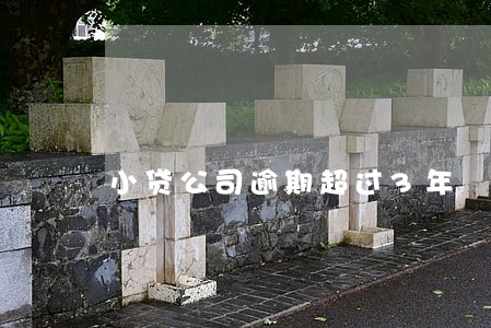 小贷公司逾期超过3年 小贷公司逾期超过3年