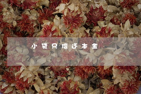 小贷只偿还本金