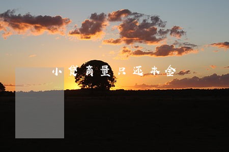 小贷商量只还本金 小贷商量只还本金