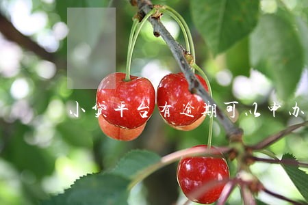 小贷平台有逾期可以申办信用卡吗 小贷平台有逾期可以申办信用卡吗