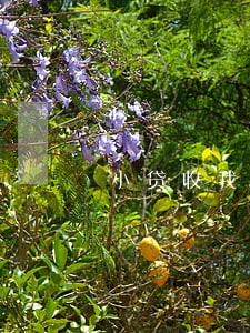 小贷收我5百多块逾期费