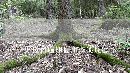 小贷有逾期信用卡能提额不 小贷有逾期信用卡能提额不