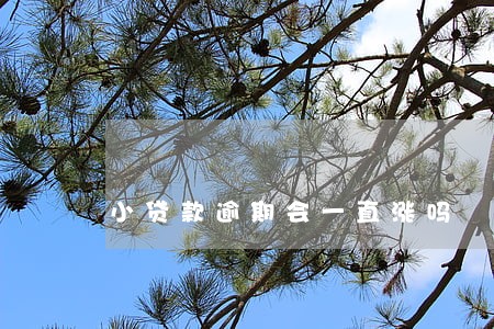 小贷款逾期会一直涨吗 小贷款逾期会一直涨吗