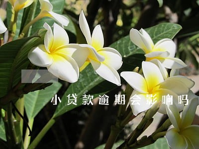 小贷款逾期会影响吗 小贷款逾期会影响吗