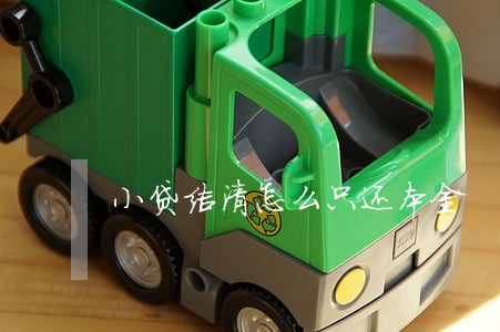 小贷结清怎么只还本金 小贷结清怎么只还本金