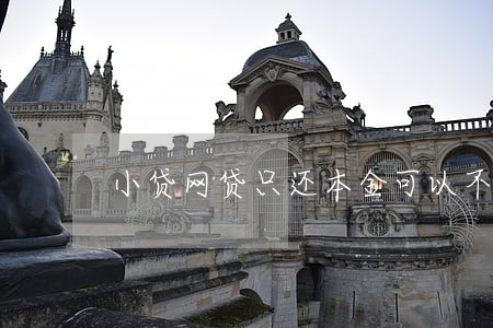 小贷网贷只还本金可以不 小贷网贷只还本金可以不