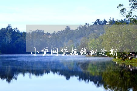 小贷网贷摇钱树逾期