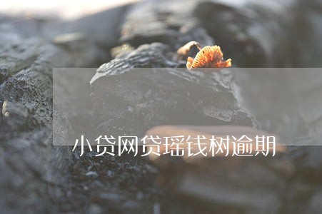 小贷网贷瑶钱树逾期 小贷网贷瑶钱树逾期