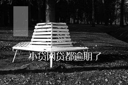 小贷网贷都逾期了 小贷网贷都逾期了