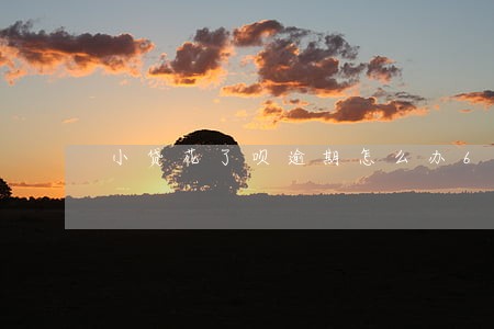 小贷花了呗逾期怎么办6 小贷花了呗逾期怎么办6