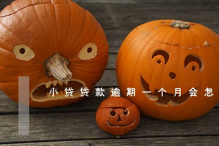 小贷贷款逾期一个月会怎么样 小贷贷款逾期一个月会怎么样