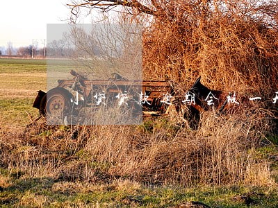 小贷贷款逾期会被一天催几遍