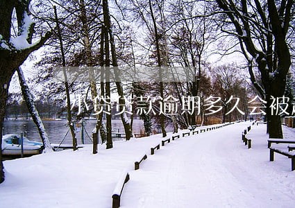 小贷贷款逾期多久会被起诉 小贷贷款逾期多久会被起诉