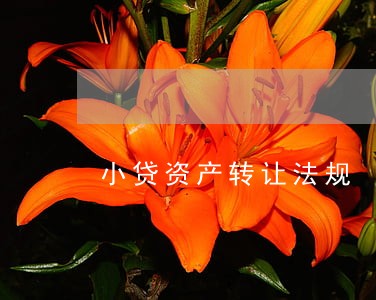 小贷资产转让法规 小贷资产转让法规